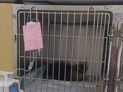 -美联众合动物医院·24h京西诊疗中心