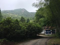 -午潮山国家森林公园