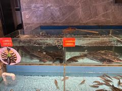-饭怕鱼(阳光100店)