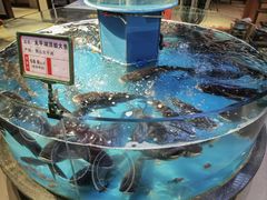 -魏铭鱼头捞饭(晋阳路店)