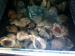 -大洋海鲜居·海鲜特色菜(墟沟海鲜美食城店)