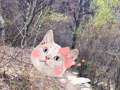 -秦岭风景区