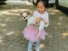 -兴福老面馆(寺路街店)