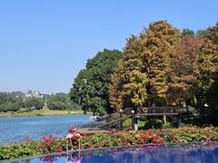 -白云湖畔酒店-湖畔餐厅