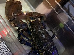 -皇朝会.经典传统粤菜(外滩店)