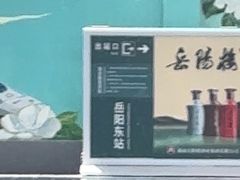 -岳阳东站