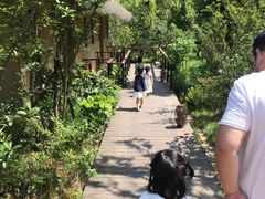 -杭州开元森泊度假乐园