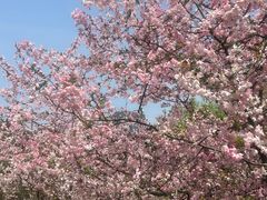 -CRAZYONES西班牙海鲜饭(上海美罗城店)