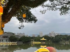 -江心屿景区