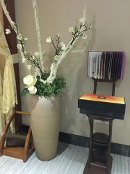 -唯伊美塑身美养连锁