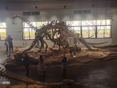 -自贡恐龙博物馆