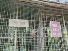 -武陵山森林公园