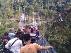 -九龙江国家森林公园