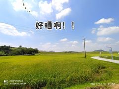 -光明小镇欢乐田园