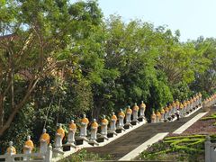 -西双版纳勐泐文化旅游区