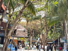 -海南分界洲岛旅游区