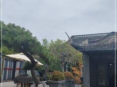 -采蝶轩