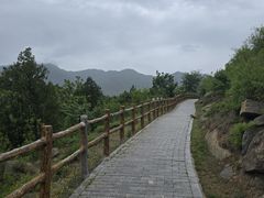 -白水寺森林公园