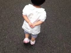 -合肥滨湖国家森林公园