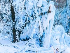 -叠溪松坪沟景区