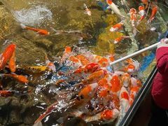 -太平洋海底世界