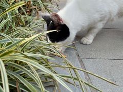 -镇江市南山风景名胜区竹林景区