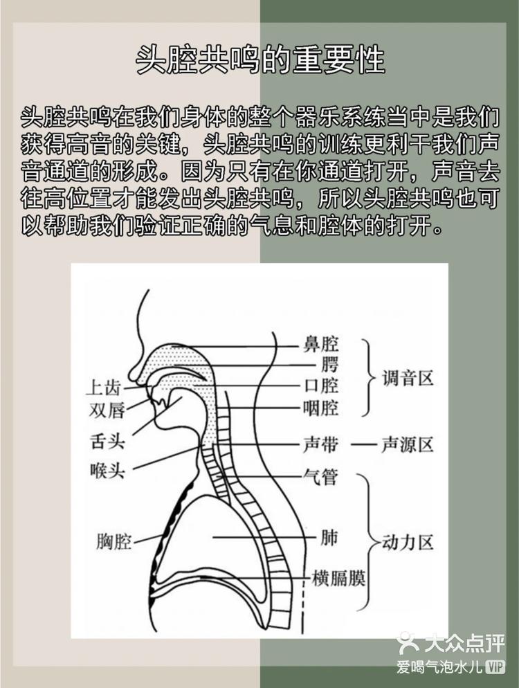 头腔共鸣位置示意图图片