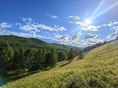 -莫尔道嘎国家森林公园