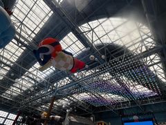 -广州融创水世界