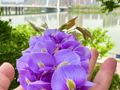 -灞河西岸滨河公园
