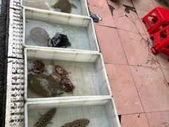 -永汉农贸综合市场