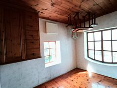 -金山农民画村-枫泾波兰倒置屋