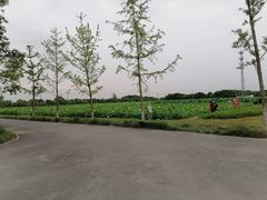 -嘉北郊野公园
