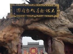 -大槐树寻根祭祖园