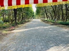 -上海海湾国家森林公园