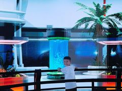 -中国西峡恐龙遗迹园