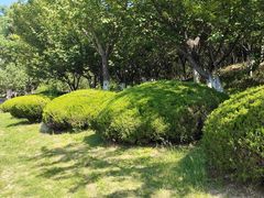 -济南国际园博园