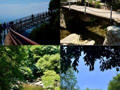 -少华山国家森林公园
