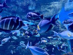 -海合安成都极地海洋公园