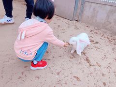 -前小桔亲子创意农场·草莓采摘·露营烧烤