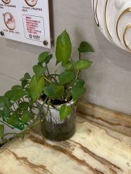 -弘美医美·艾维岚童颜抗衰中心