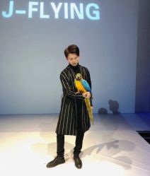 -J-Flying艺术形象设计