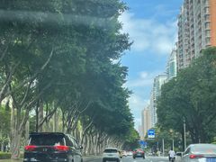 -陶陶居·雅园(凯华国际店)