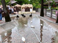 -珠海海泉湾神秘岛亲子乐园