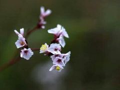 -华蓥山天意谷景区