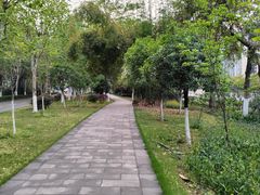 -大渡口区义渡公园