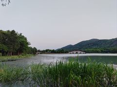 -长广溪湿地公园