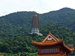 -深圳仙湖植物园