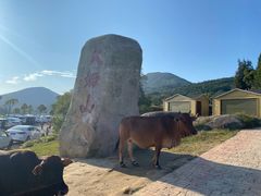 -大姆山草场