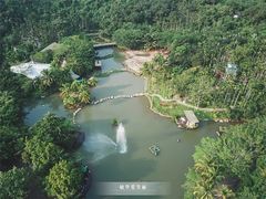 -西涌国际滨海旅游区